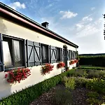 Au Fil Des Saisons Sur La Wiels Fauvillers