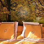 Au Fil Des Saisons Sur La Wiels Fauvillers