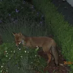 Bed & Breakfast Au Fil Des Saisons Sur La Wiels