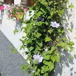 Au Fil Des Saisons Sur La Wiels