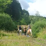 Bed & Breakfast Au Fil Des Saisons Sur La Wiels Fauvillers