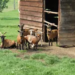Au Fil Des Saisons Sur La Wiels