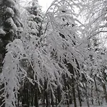 Au Fil Des Saisons Sur La Wiels