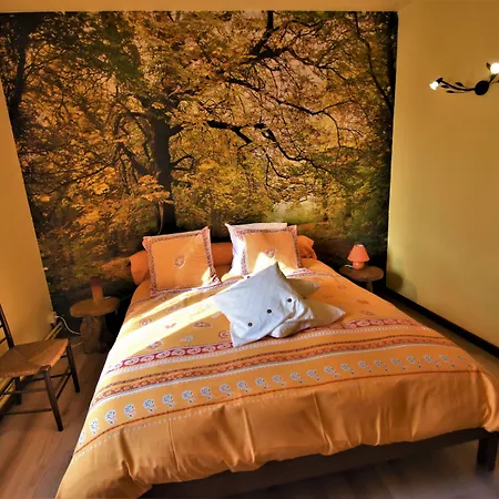 Au Fil Des Saisons Sur La Wiels Fauvillers