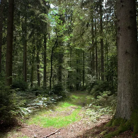 Nocleg ze śniadaniem Au Fil Des Saisons Sur La Wiels Fauvillers