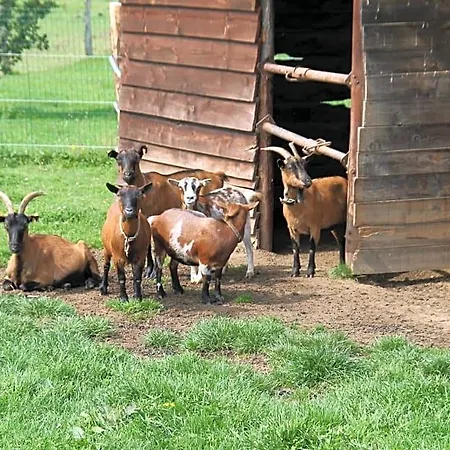 Au Fil Des Saisons Sur La Wiels Fauvillers