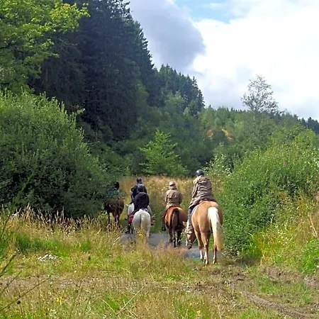 Au Fil Des Saisons Sur La Wiels 3* Fauvillers