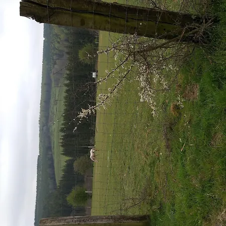 Au Fil Des Saisons Sur La Wiels Nocleg ze śniadaniem