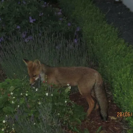 Bed & Breakfast Au Fil Des Saisons Sur La Wiels