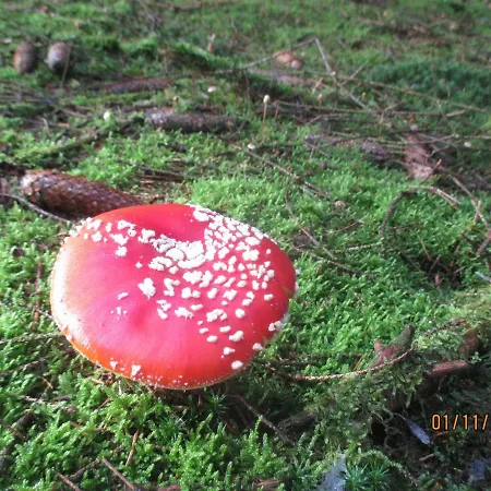 Au Fil Des Saisons Sur La Wiels Nocleg ze śniadaniem 3*