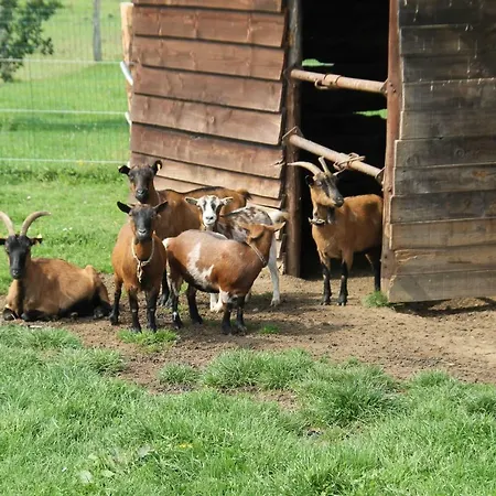 Au Fil Des Saisons Sur La Wiels