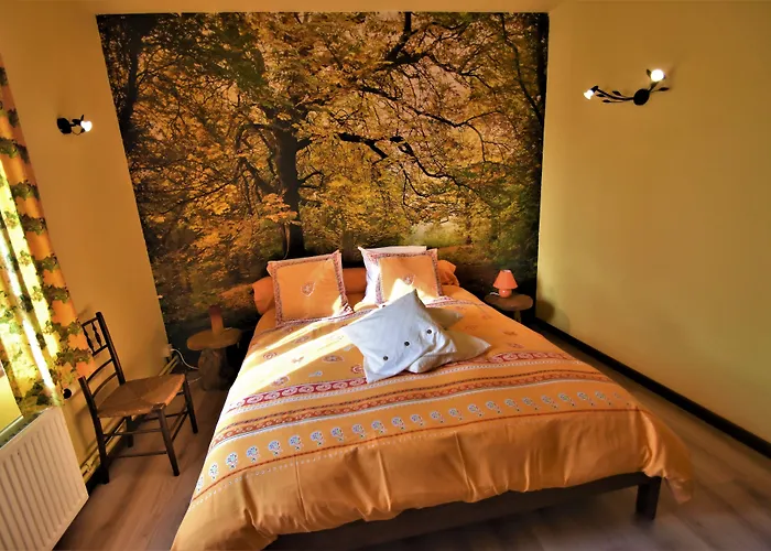 Au Fil Des Saisons Sur La Wiels Fauvillers