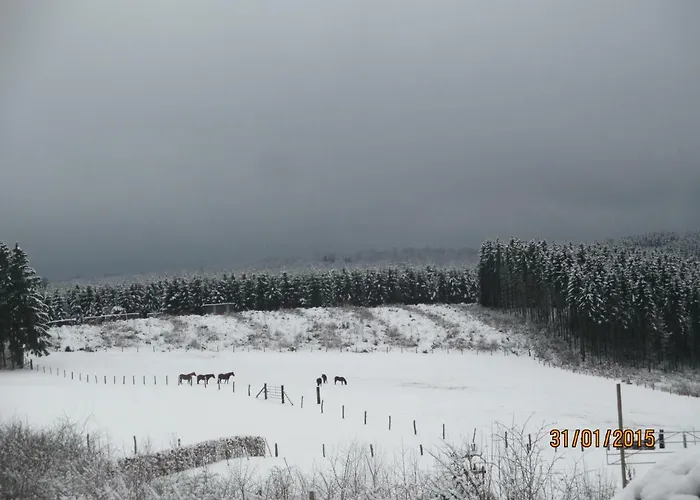 Bed & Breakfast Au Fil Des Saisons Sur La Wiels 3*