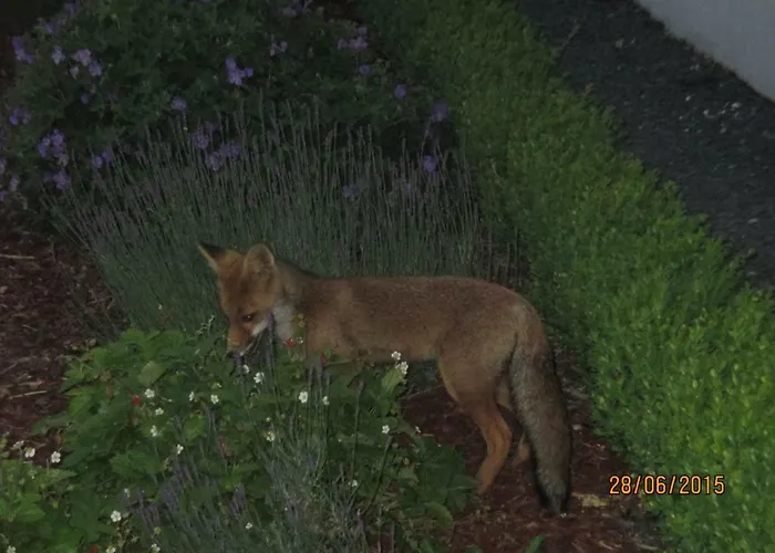 Bed & Breakfast Au Fil Des Saisons Sur La Wiels