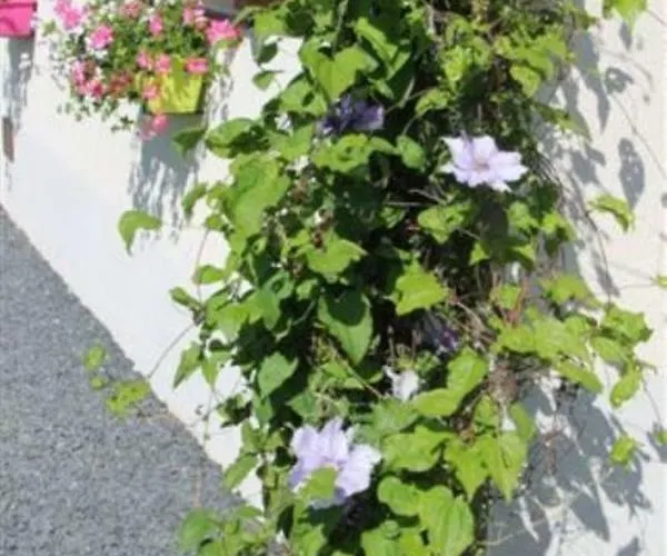 Au Fil Des Saisons Sur La Wiels