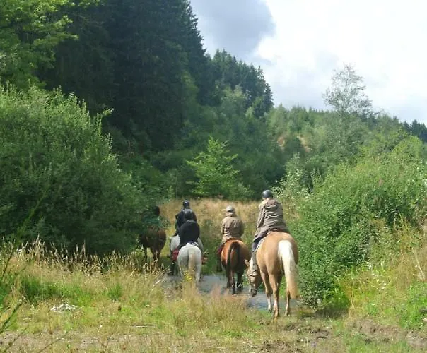 Bed & Breakfast Au Fil Des Saisons Sur La Wiels Fauvillers