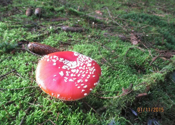 Au Fil Des Saisons Sur La Wiels Bed & Breakfast 3*