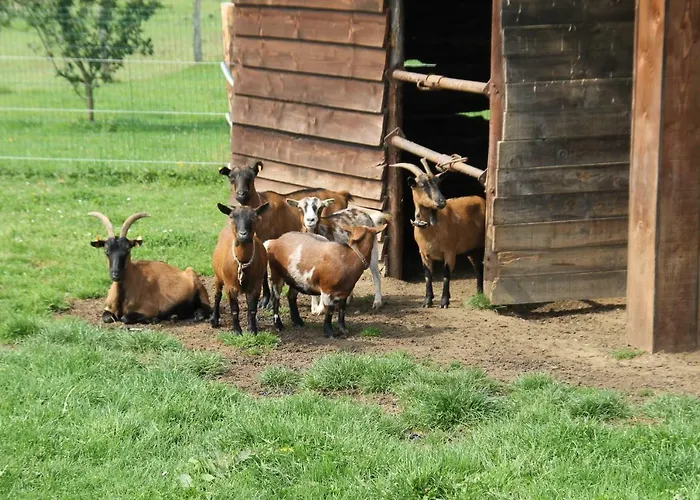 Au Fil Des Saisons Sur La Wiels