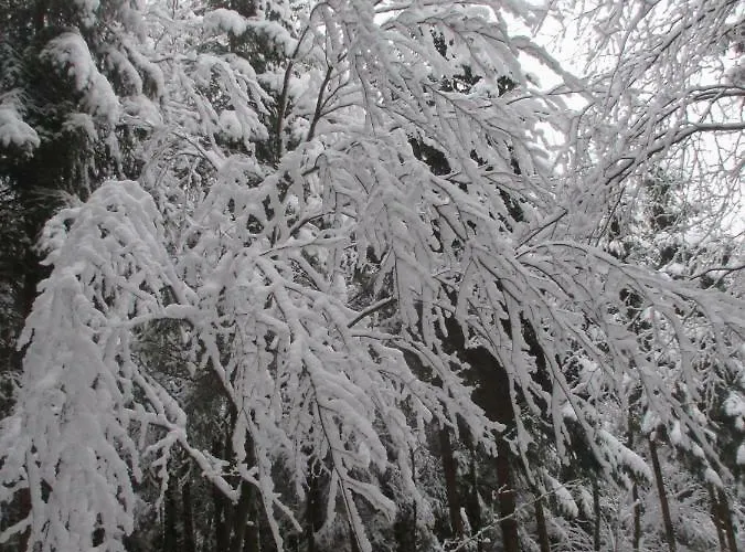 Au Fil Des Saisons Sur La Wiels